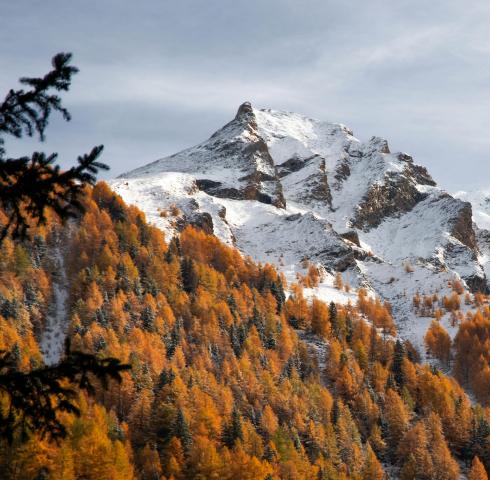 Berge
