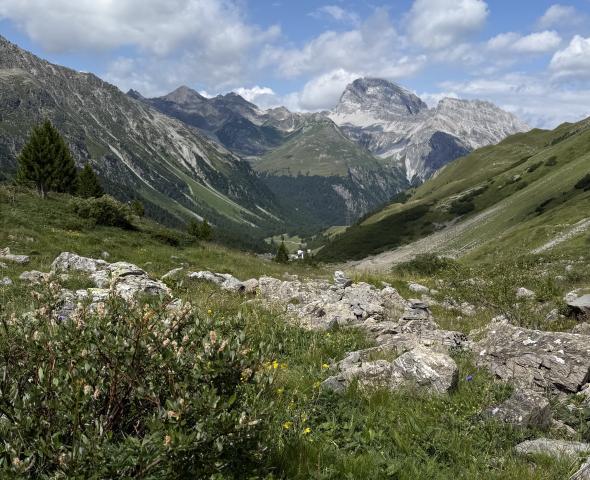 Allgäu