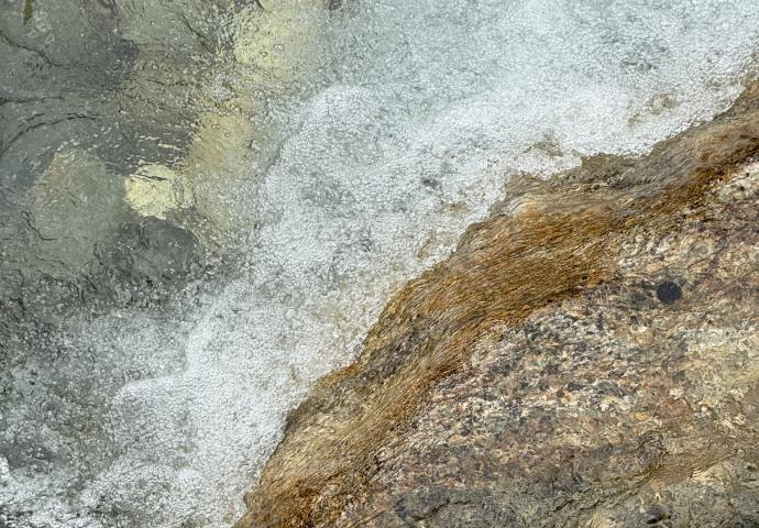 Natur